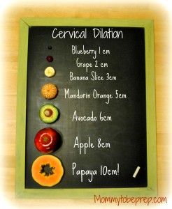 Cervical Dilation Chart for the Visual Learner