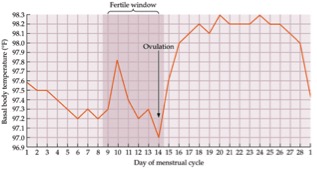 Optimizing Fertility