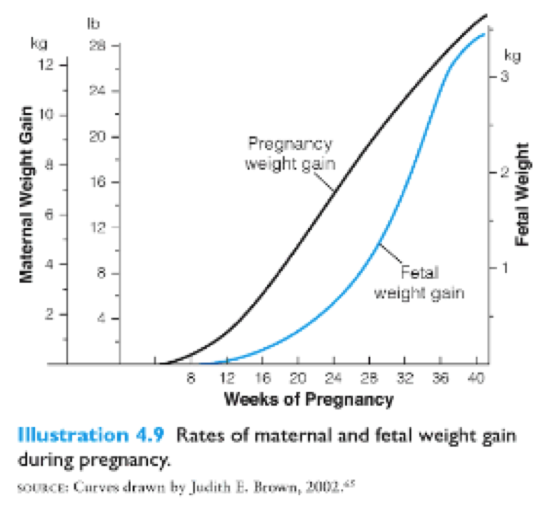 Healthy Weight Gain During Pregnancy Mommy To Be Prep 0945