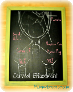 Cervical Effacement for the Visual Learner